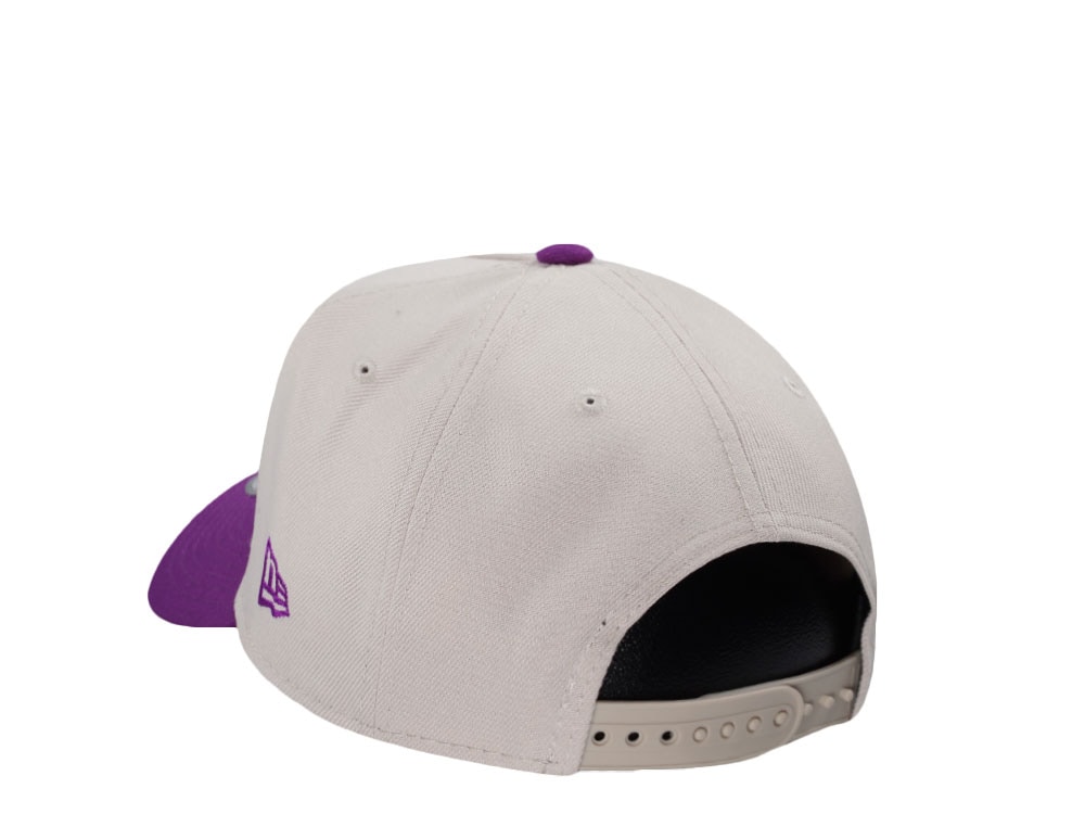 New Era Anaheim Ducks Stadium Series 2014 Stone Grape Two Tone Edition 9Forty A Frame Snapback Gorra