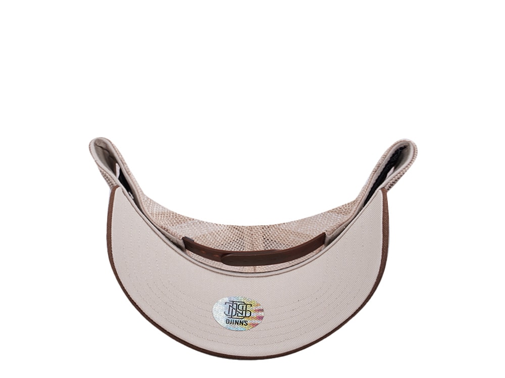 Djinns HFT Guy in a Cup Dark Brown Trucker Snapback Gorra