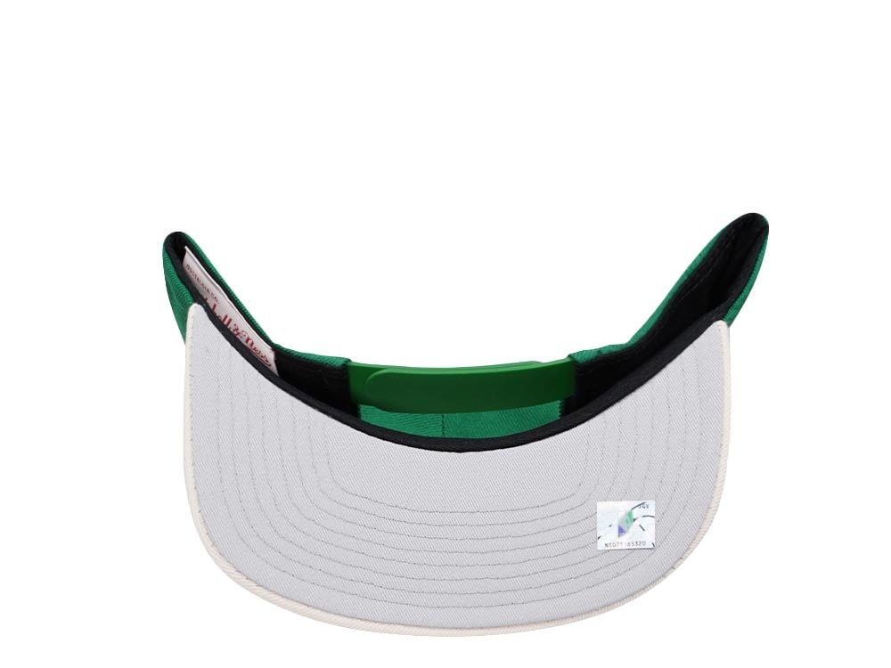 Mitchell & Ness Milwaukee Bucks Team Two Tone 2.0 Snapback Gorra