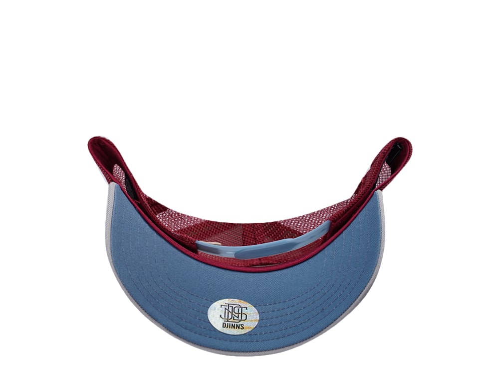 Djinns HFT Another Stupid Wave White Coastal Edition Trucker Snapback Gorra