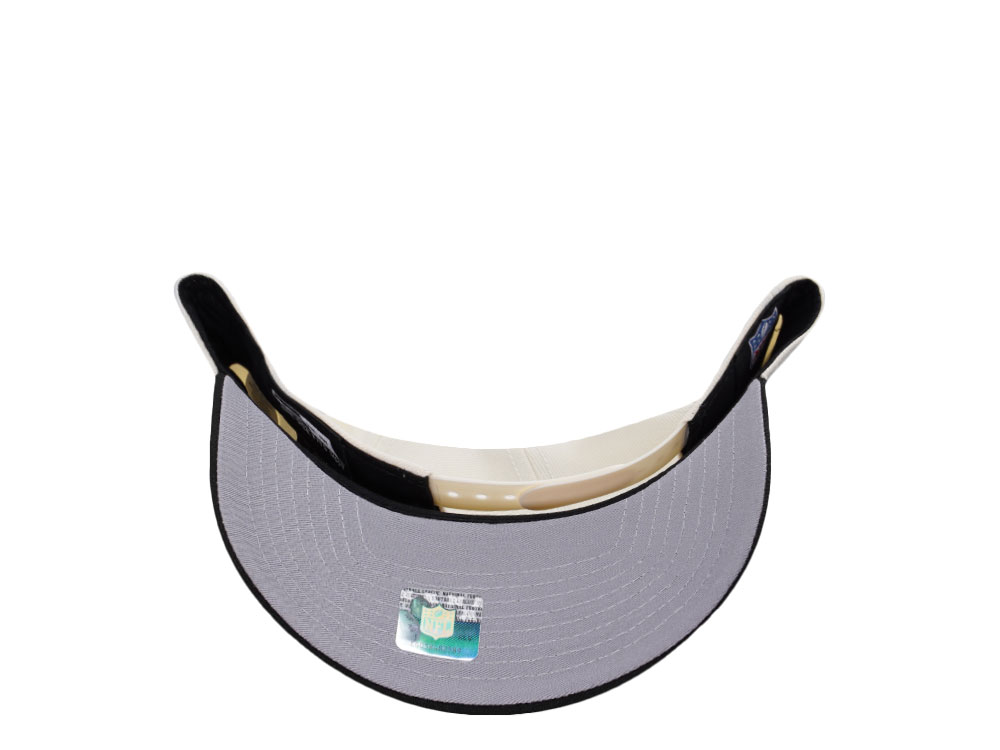 New Era Philadelphia Eagles Classic Chrome Two Tone Edition 9Forty A Frame Snapback Gorra