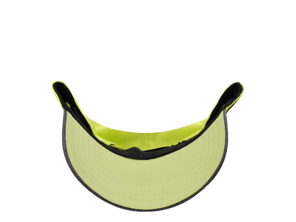 Capslab Rick And Morty Trucker Snapback Gorra
