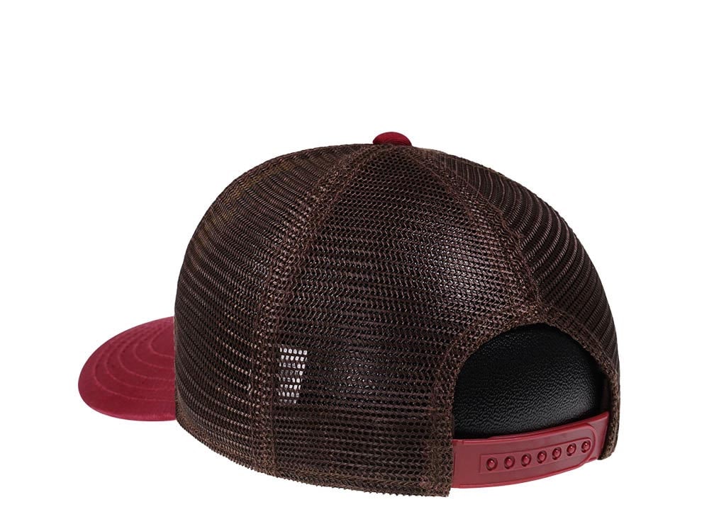 American Needle Grand Canyon NP Sinclair Trucker Snapback Gorra