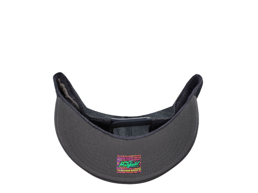 Hatfield Original Script Ash Trucker Snapback Gorra