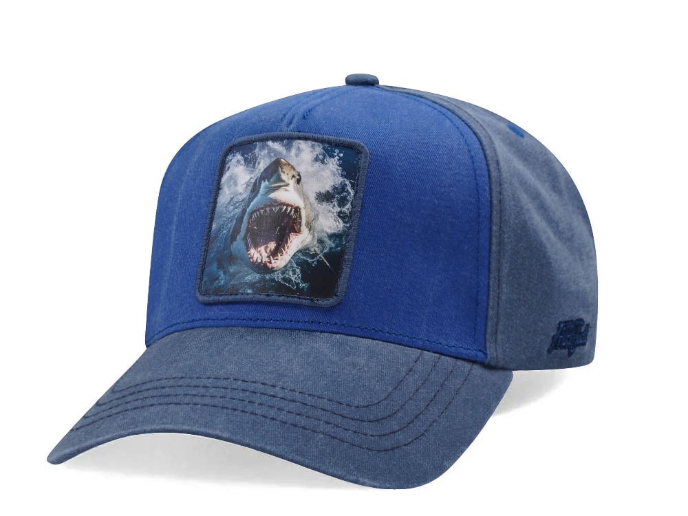 Hatfield Baby Shark Blue Snapback Gorra