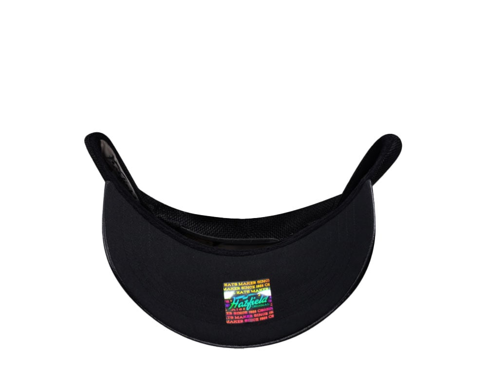Hatfield Black Panther Black Trucker Snapback Gorra