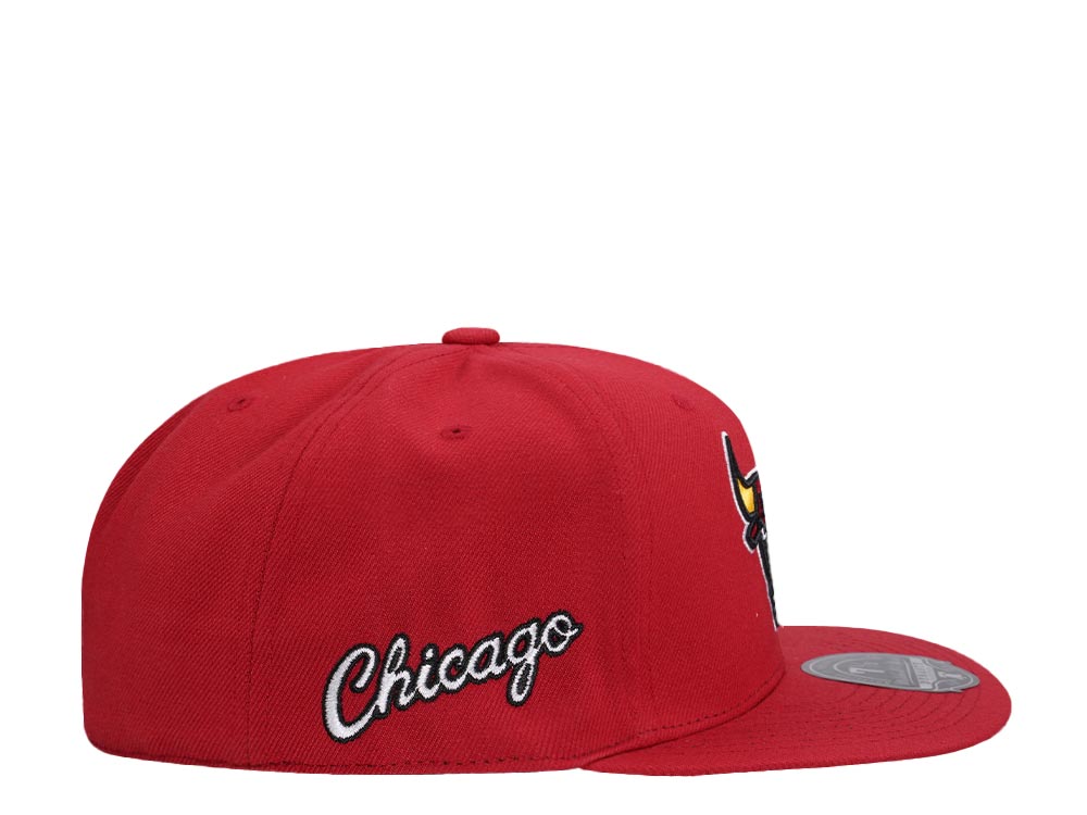 Mitchell & Ness Chicago Bulls Logo History Hardwood Classic Dynasty Fitted Gorra