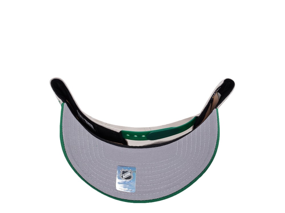 New Era Hartford Whalers Grey Classic Two Tone Edition 9Forty A Frame Snapback Gorra