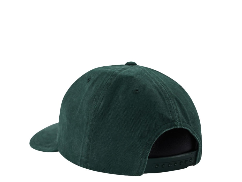 American Needle Smokey Bear Walker Dark Green Snapback Gorra
