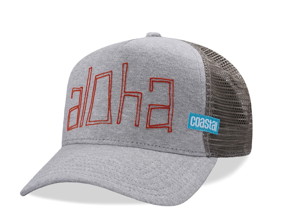 Djinns Aloha Jersey Gray Trucker Snapback Gorra