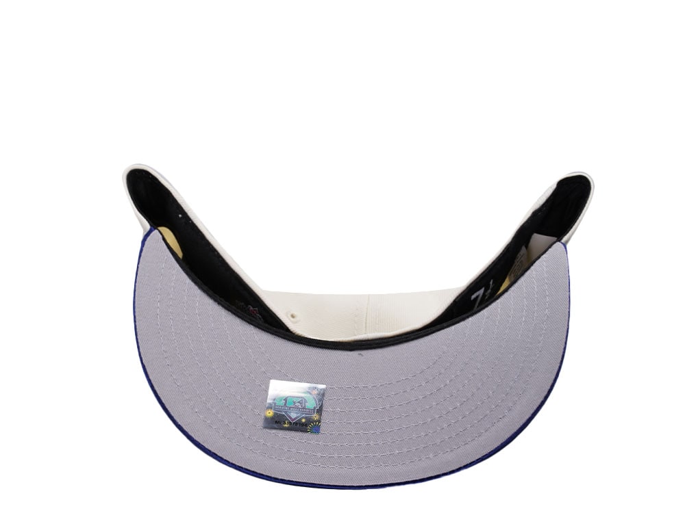 New Era Hudson Valley Renegades 30th Anniversary Chrome Satin Brim Two Tone Edition 59Fiftys Fitted Gorra