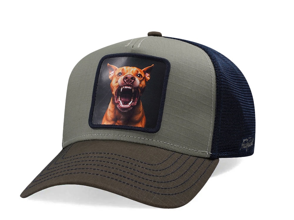 Hatfield Barking Dog Olive Trucker Snapback Gorra