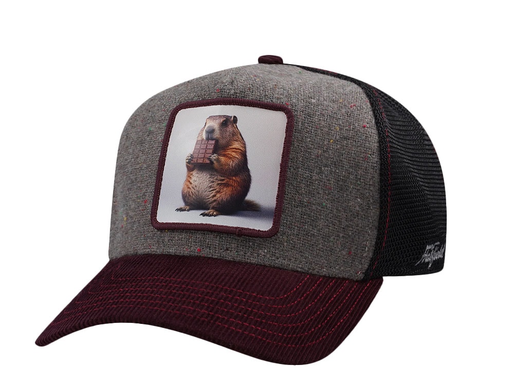 Hatfield Chocolate Beaver Burgundy Gray Trucker Snapback Gorra