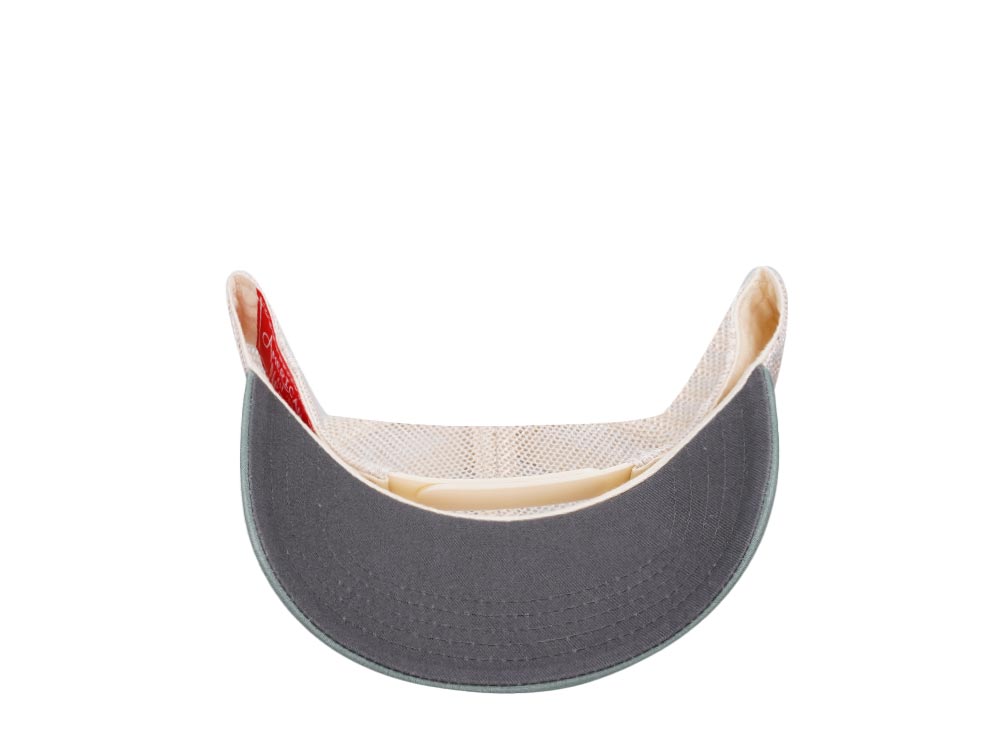 American Needle Vermont Domino Ivory Cool Gray Cedar Trucker Snapback Gorra