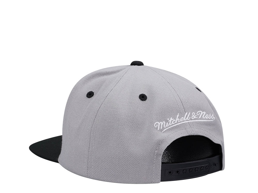 Mitchell & Ness Brooklyn Nets Transcript Gray Two Tone Snapback Gorra