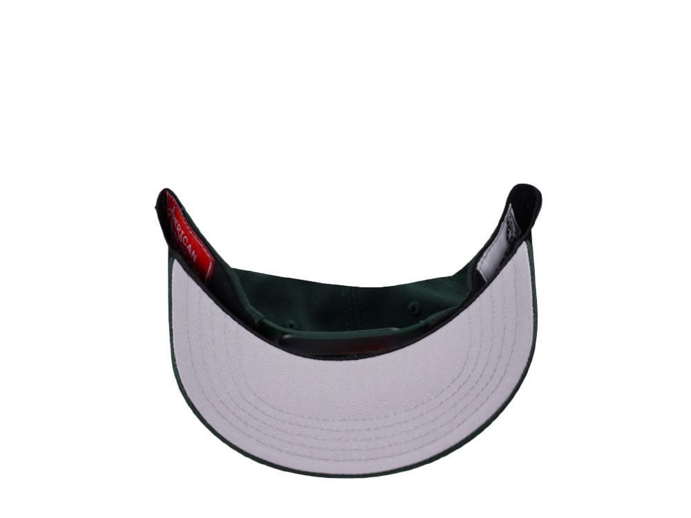 American Needle Mack Truck Valin Dark Green Snapback Gorra