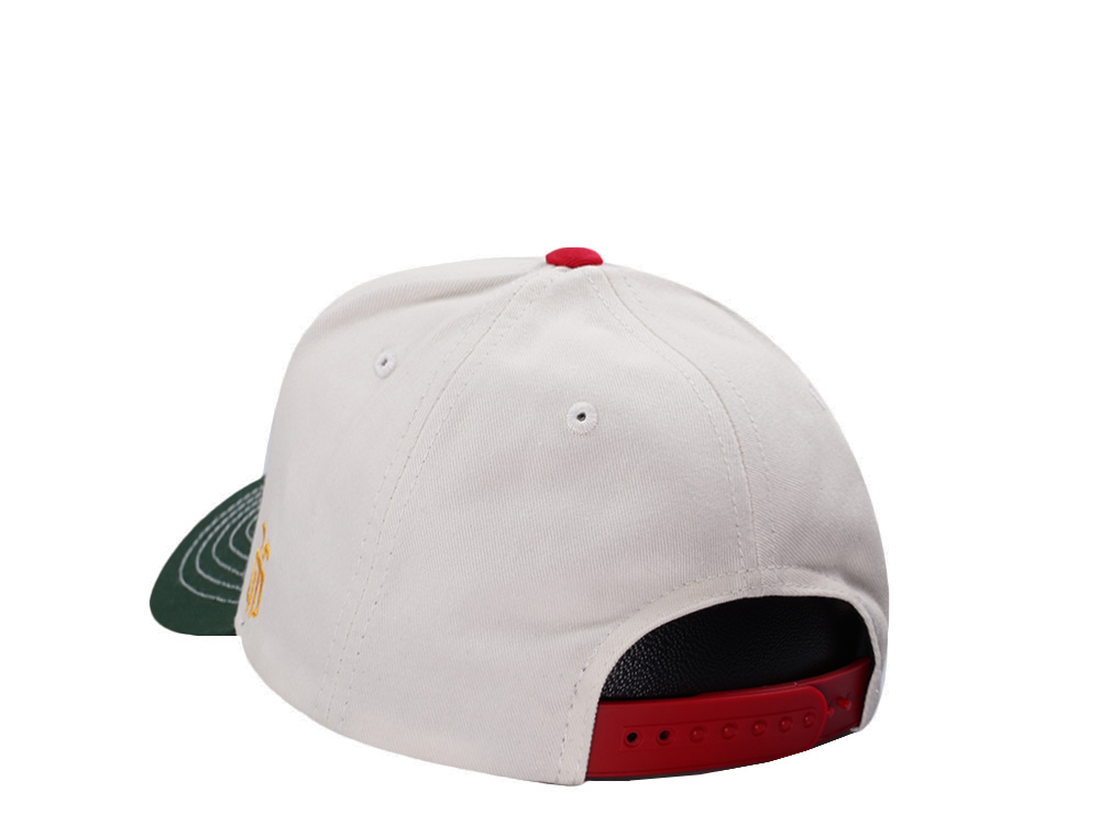 Parallel Union Mexico Skull Headdress Chrome Two Tone Edition Snapback Gorra