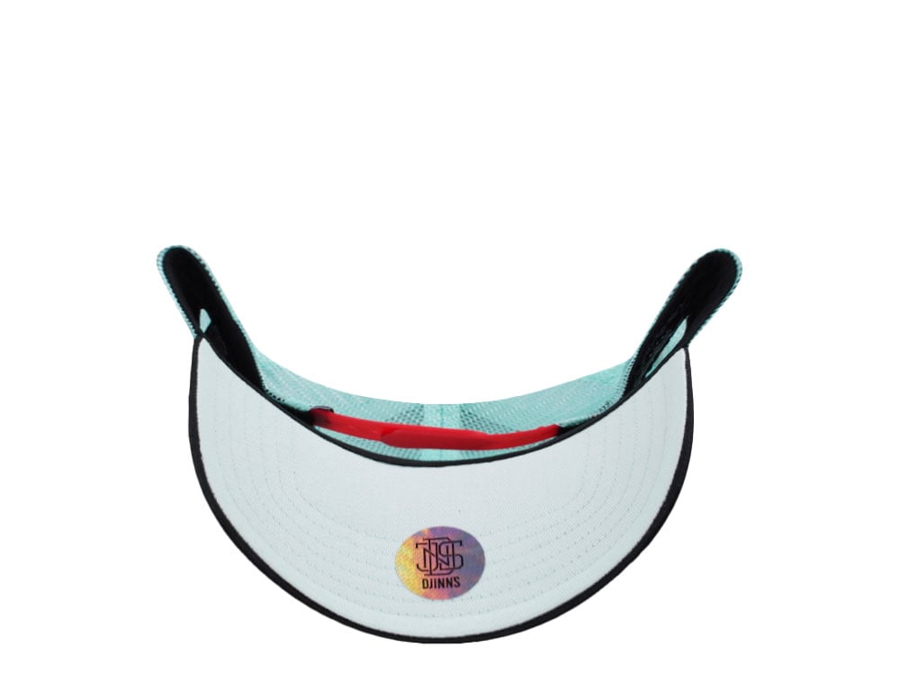 Djinns Street Disco Mint Trucker Snapback Gorra