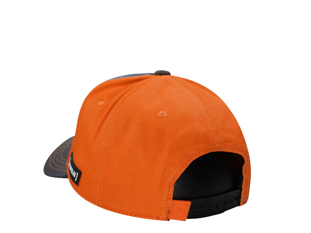 Capslab Dragon Ball Super Goku Snapback Gorra