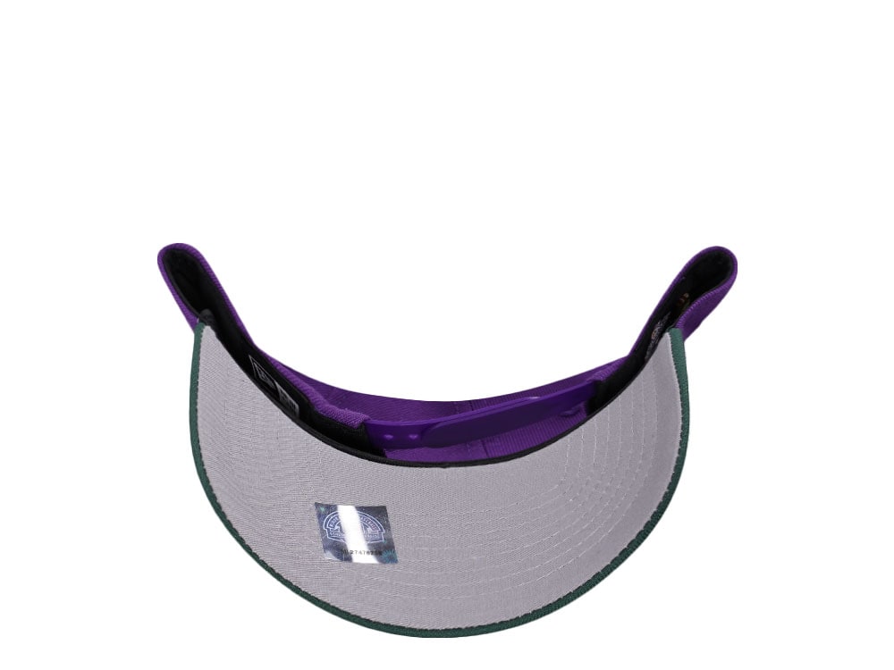 New Era Tampa Smokers Purple Gold Two Tone Edition 9Forty A Frame Snapback Gorra