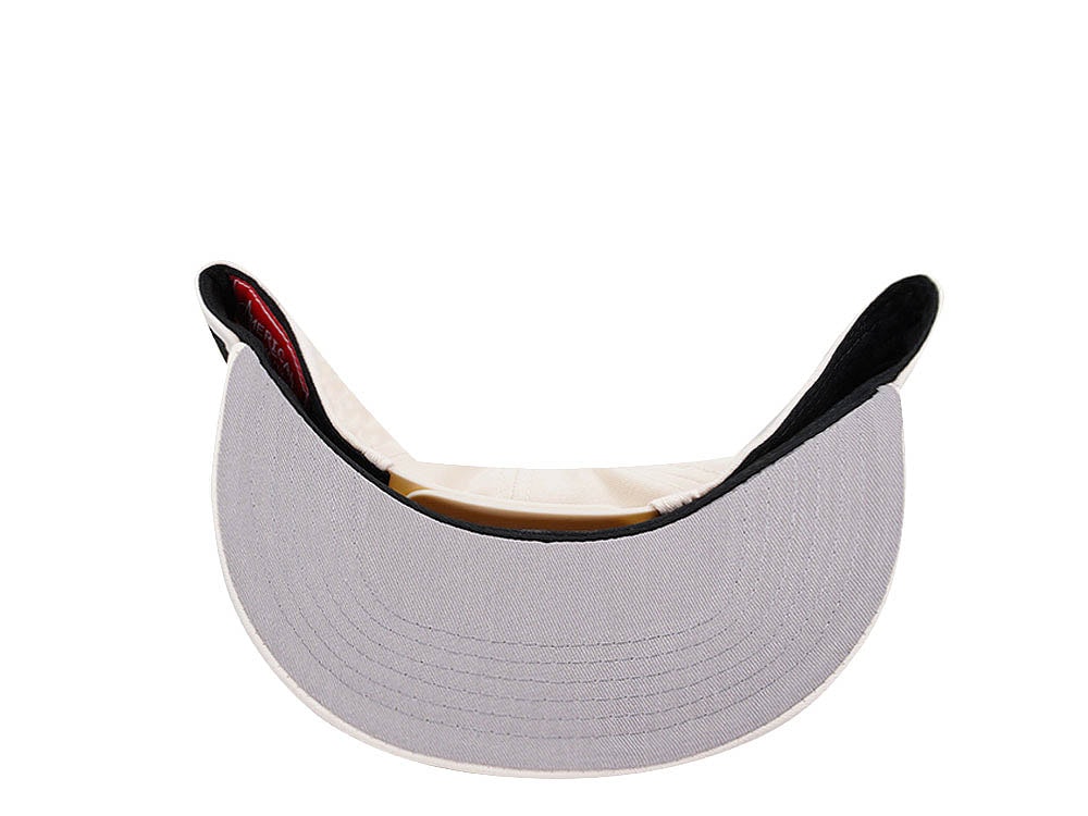 American Needle Hanshin Tigers Blockhead 2.0 Casual Snapback Gorra