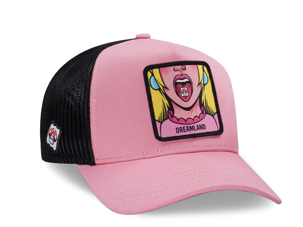 Capslab Cute Dreamland Pink Trucker Snapback Gorra
