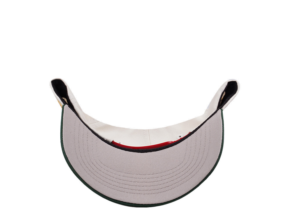 Parallel Union Mexico Skull Headdress Chrome Two Tone Edition Snapback Gorra