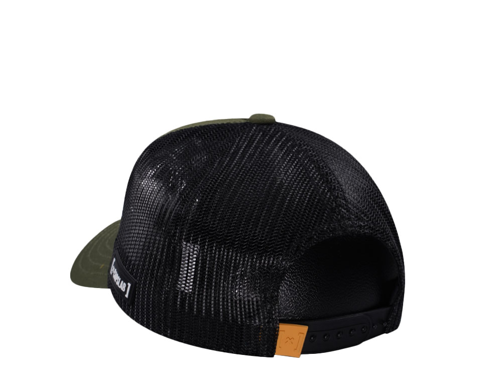 Capslab Legend of Zelda Link Trucker Snapback Gorra